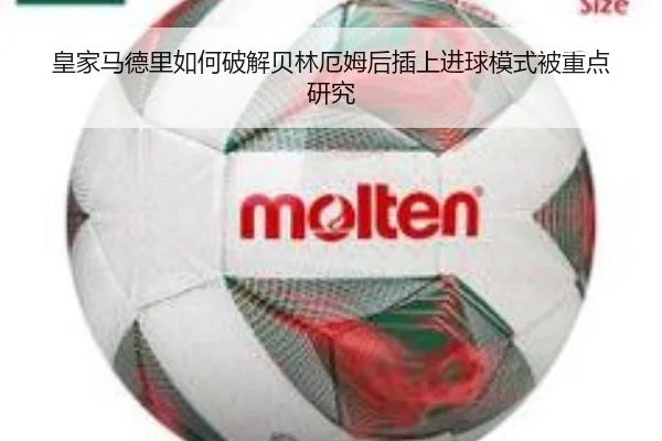 img_1779122004873_3301_1_101.jpg