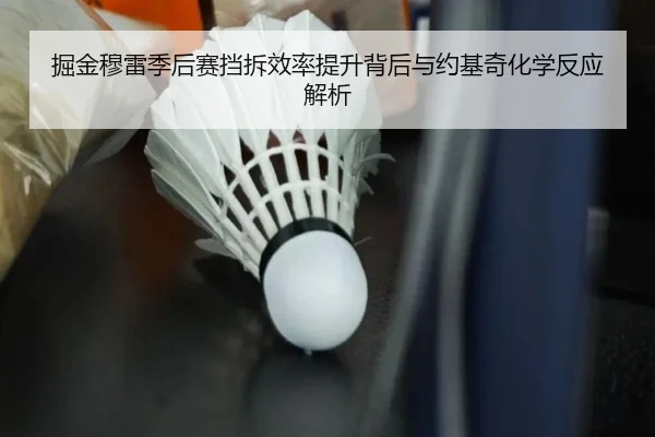掘金穆雷季后赛挡拆效率提升背后与约基奇化学反应解析