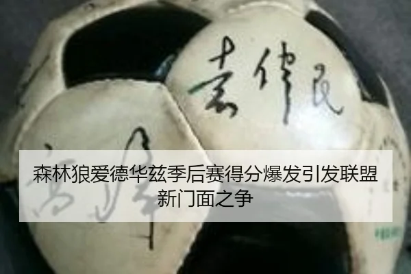 森林狼爱德华兹季后赛得分爆发引发联盟新门面之争
